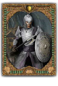 Elrohirs_Guard Info